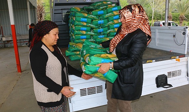 Büyükşehir Belediyesi’nden silajlık mısır tohumu takviyesi