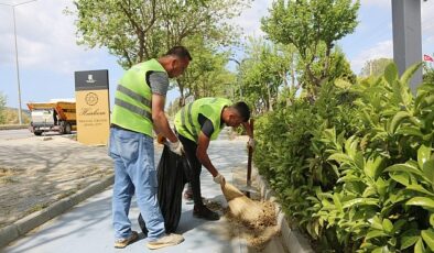 Efes Selçuk’ta Çalışmalar Büyükşehir İş Birliği İle Sürat Kazandı