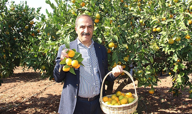 Narenciye bölümü KKTC’de görülen yeşillenme hastalığının Türkiye’ye sıçramaması için topyekûn çaba istiyor