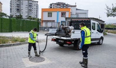 Sivrisinek ve haşere ile uğraş 12 ay sürüyor