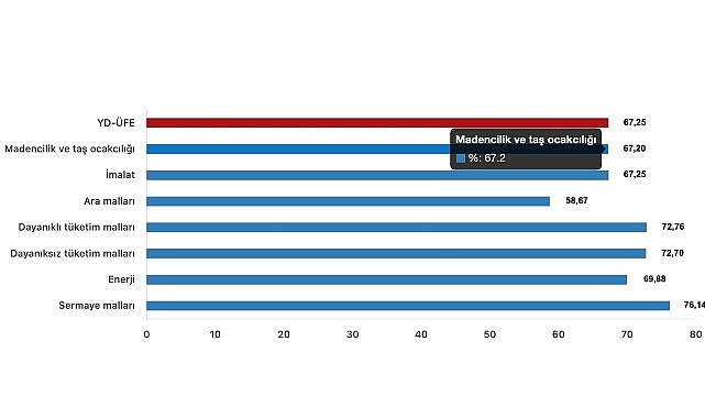 Tüik: Yurt Dışı Üretici Fiyat Endeksi (YD-ÜFE) yıllık %67,25 arttı, aylık %4,70 arttı