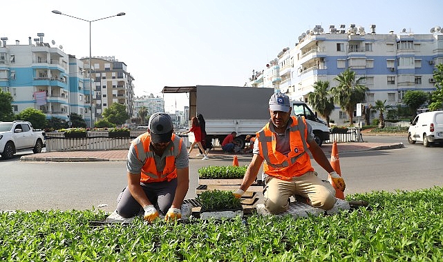 Antalya yazlık çiçeklerle rengarenk olacak