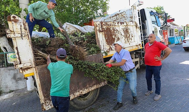 Buca Belediyesi, ziraî üretimde çeşitliliği artırmak hedefiyle köyler bölgesinde meyve fidanı dağıtımı yaptı