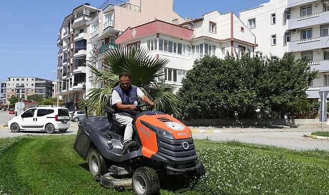 Burhaniye Belediyesi Park ve Bahçeler Müdürlüğü grupları, ilçe genelindeki yeşil alanlar ve parklarda bakım çalışmalarını sürdürüyor