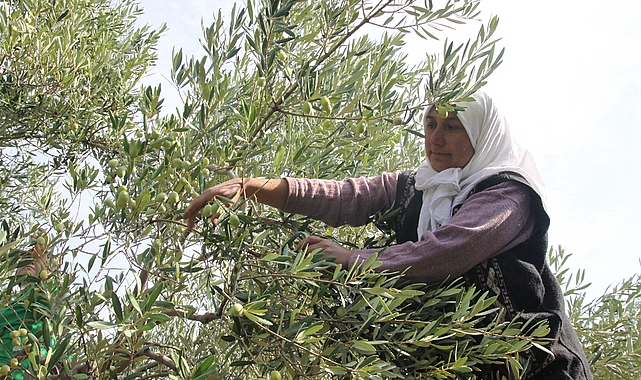 Yapay zekâ ve dijitalleşme ile Türk tarımında verimlilik, besin güvenliği ve ihracat artacak, besin kayıpları önlenecek