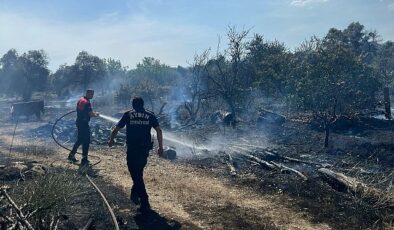 Aydın Büyükşehir Belediyesi İtfaiyesi, bugün öğlen saatlerinde Efeler’in Umurlu Mahallesi’nde çıkan arazi yangınına kısa müddette müdahale ederek bir facianın önüne geçti