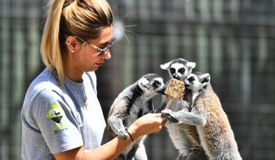 Doğal Ömür Parkı sakinlerini serinleten menü