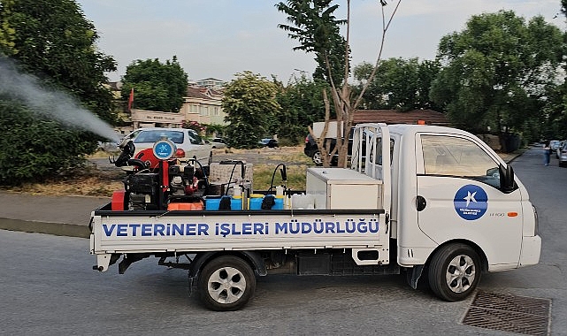 Küçükçekmece Belediyesi, sivrisineklere karşı kapsamlı bir uğraş başlattı