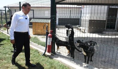 Lider Özyiğit, “Bakımevimizde sokak hayvanlarını sahiplendirmeye başladık”