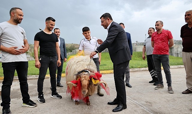 Nevşehir Belediye Başkanı Rasim Arı, Kurban Bayramı’nda gereksinim sahibi ailelere kurban eti dağıtımı için başlatılan kampanyaya takviye veren tüm hayırseverlere teşekkür etti