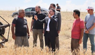 Nevşehir Belediyesi, mülkiyeti kendisine ilişkin olan yerlerden birinci buğday hasadını gerçekleştirdi